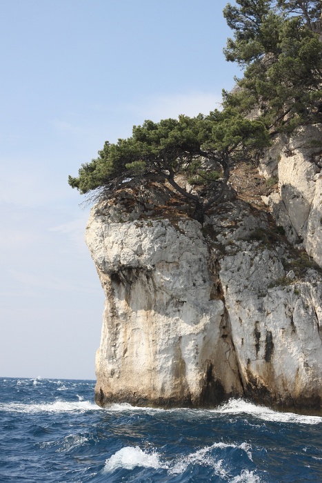 Cassis - Calanques - 074